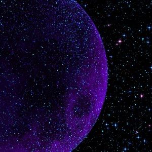 Meet your Posher, Quinn